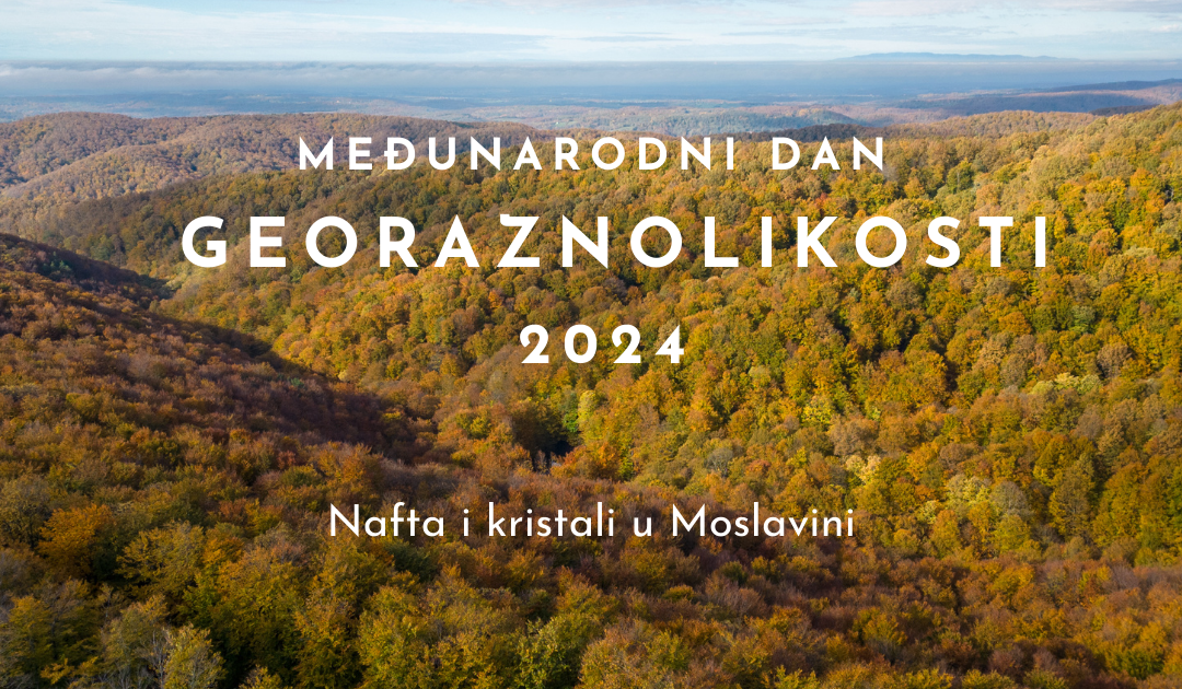 Međunarodni dan georaznolikosti