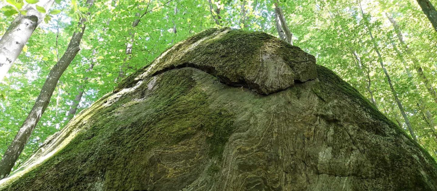 Međunarodni dan georaznolikosti, 6.10.2025.